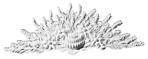 decorative plaster ornament